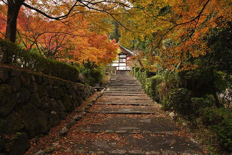 Shodenji Temple gardens