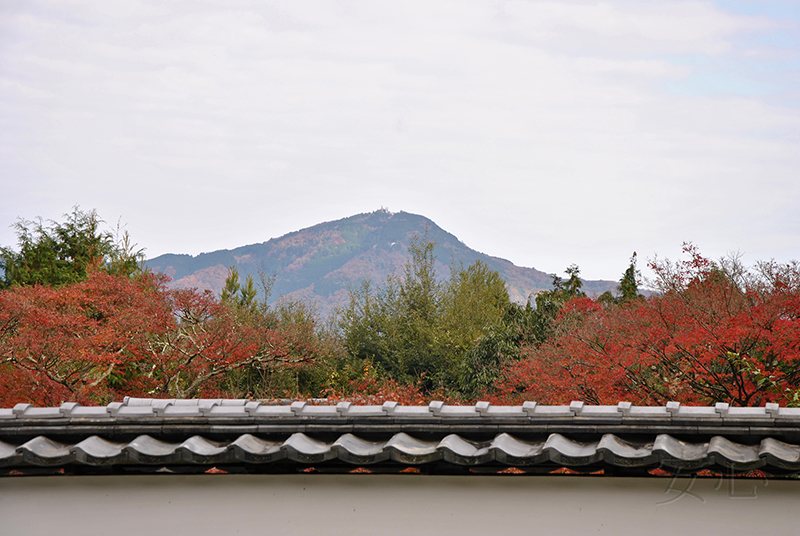 Shodenji Temple gardens