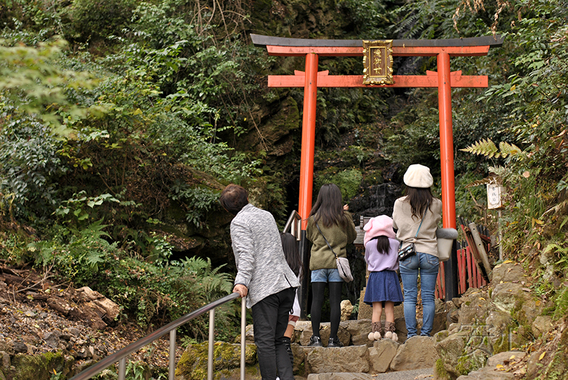 Shofuen garden