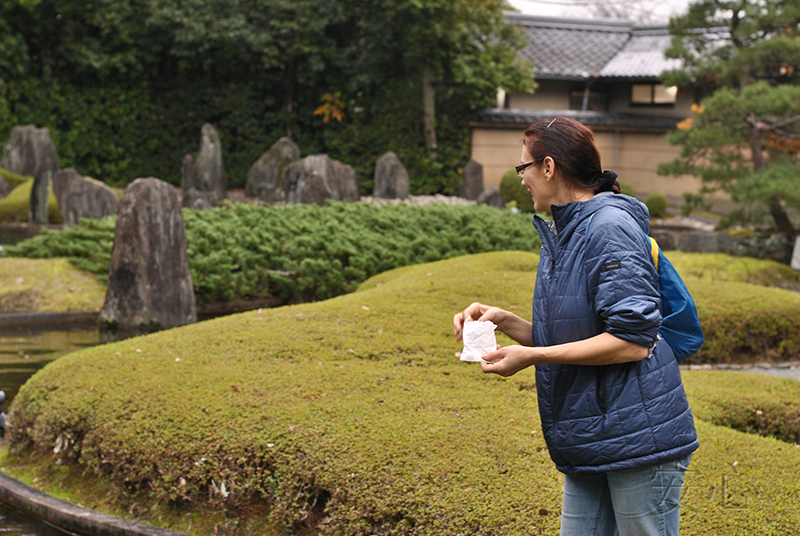 Shofuen garden