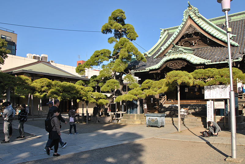 Shibamata Taishakuten garden