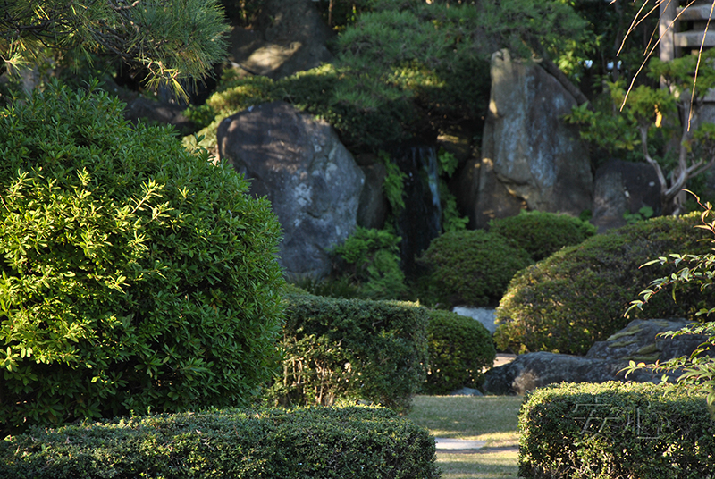 Shibamata Taishakuten garden