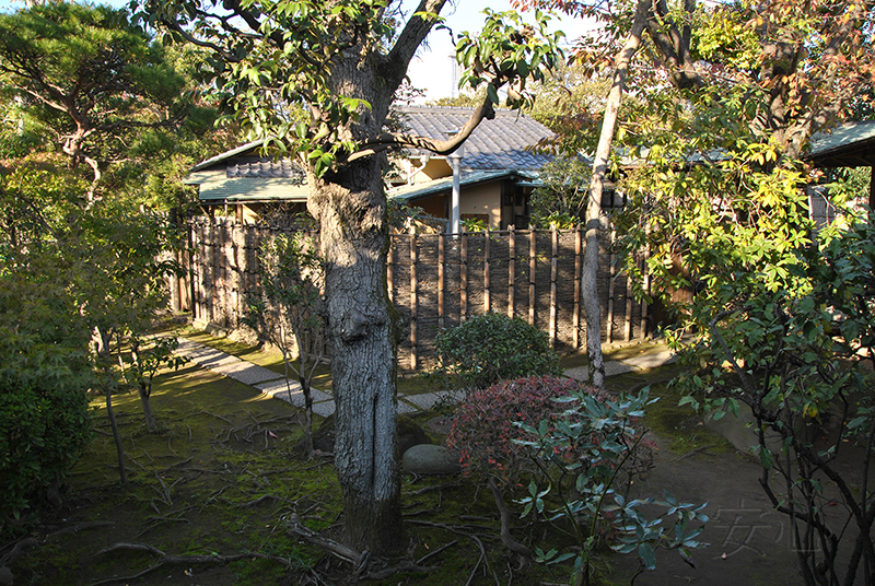 Shibamata Taishakuten garden