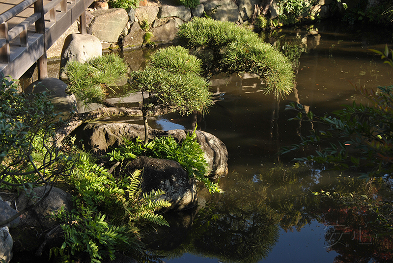 Shibamata Taishakuten garden