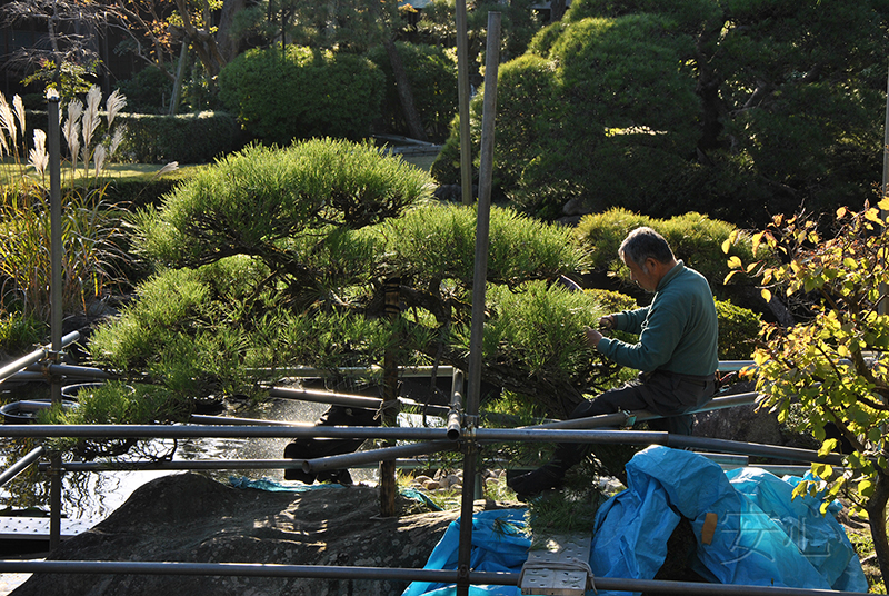 Shibamata Taishakuten garden