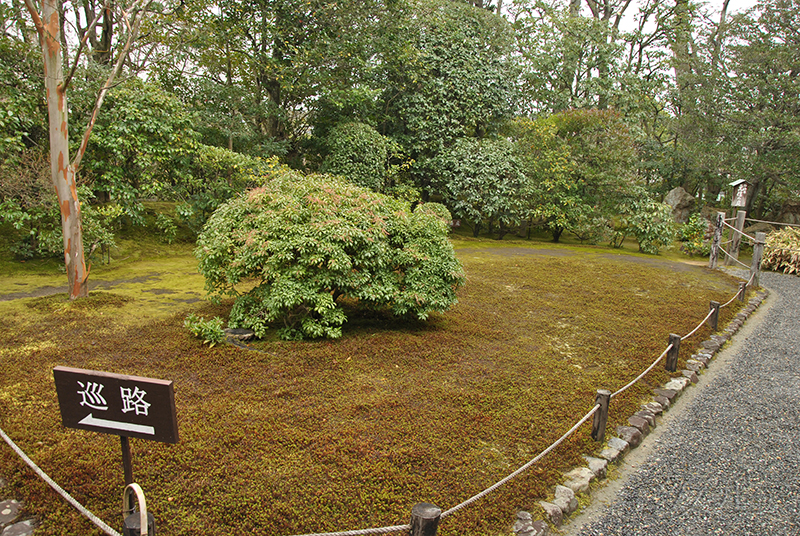 Taizo-in temple gardens