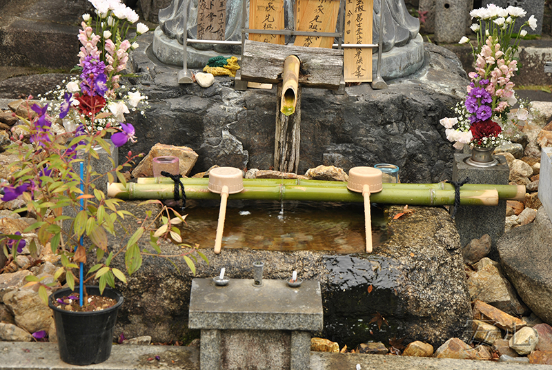 Taizo-in temple gardens