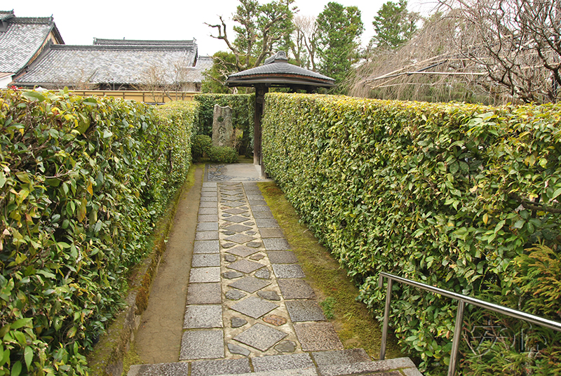 Taizo-in temple gardens