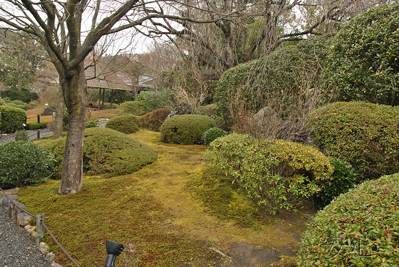 Taizo-in temple gardens