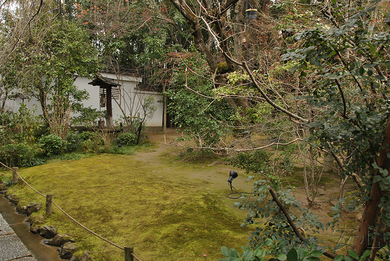 Taizo-in temple gardens