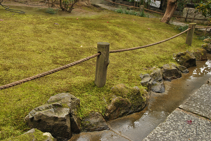 Taizo-in temple gardens