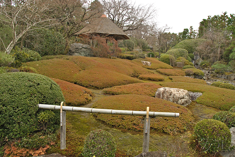 Taizo-in temple gardens