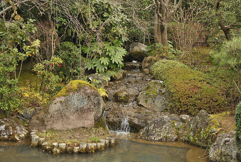 Taizo-in temple gardens