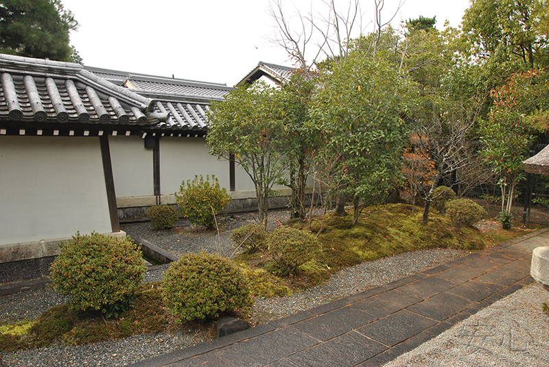 Myoshin-ji Temple Gardens