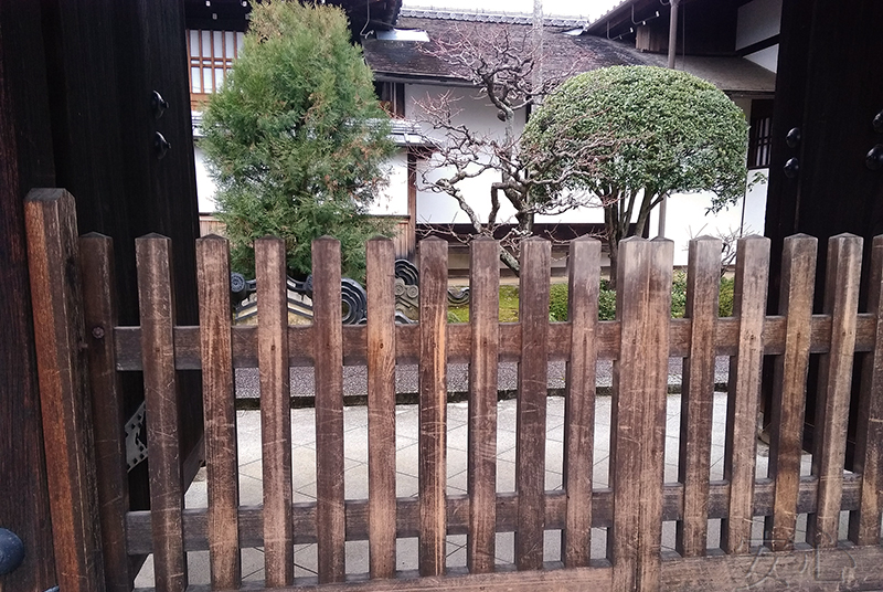 Myoshin-ji Temple Gardens