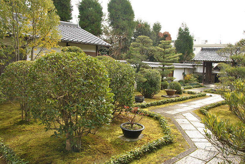 Myoshin-ji Temple Gardens