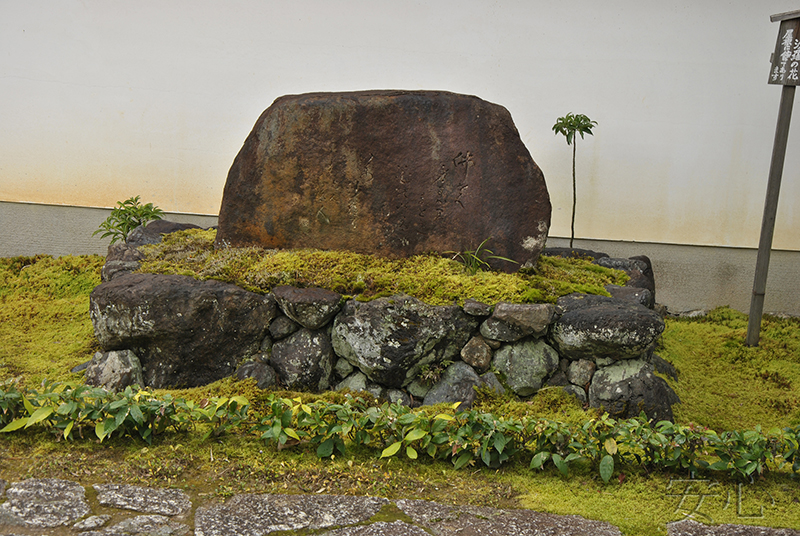 Myoshin-ji Temple Gardens