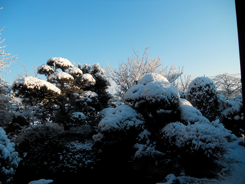 The private garden of Takakazu Nozawa