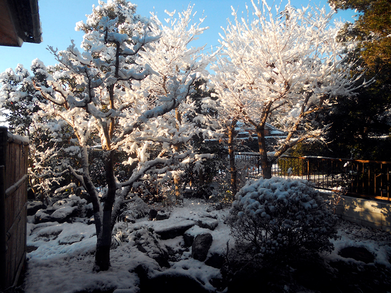 The private garden of Takakazu Nozawa