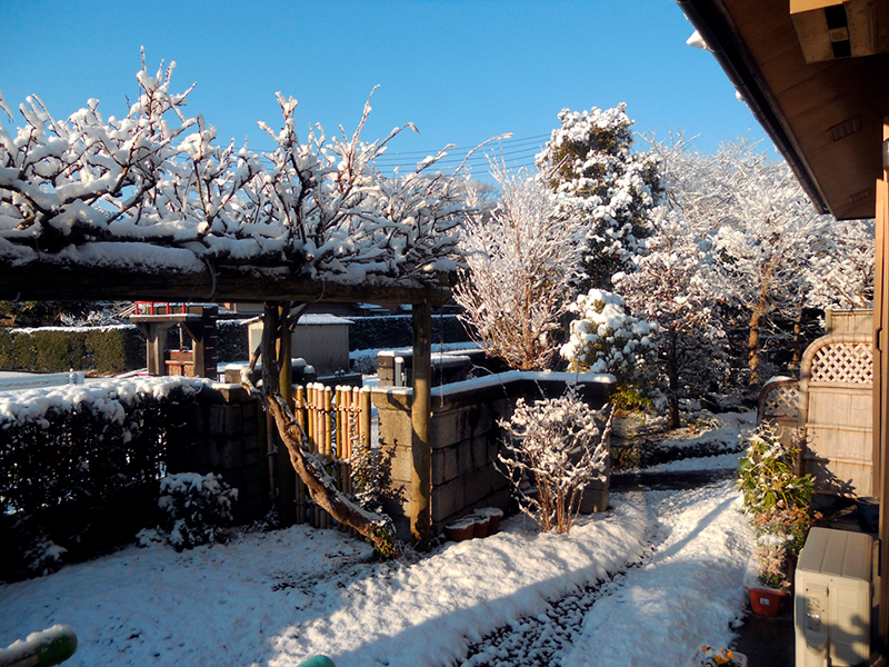 The private garden of Takakazu Nozawa