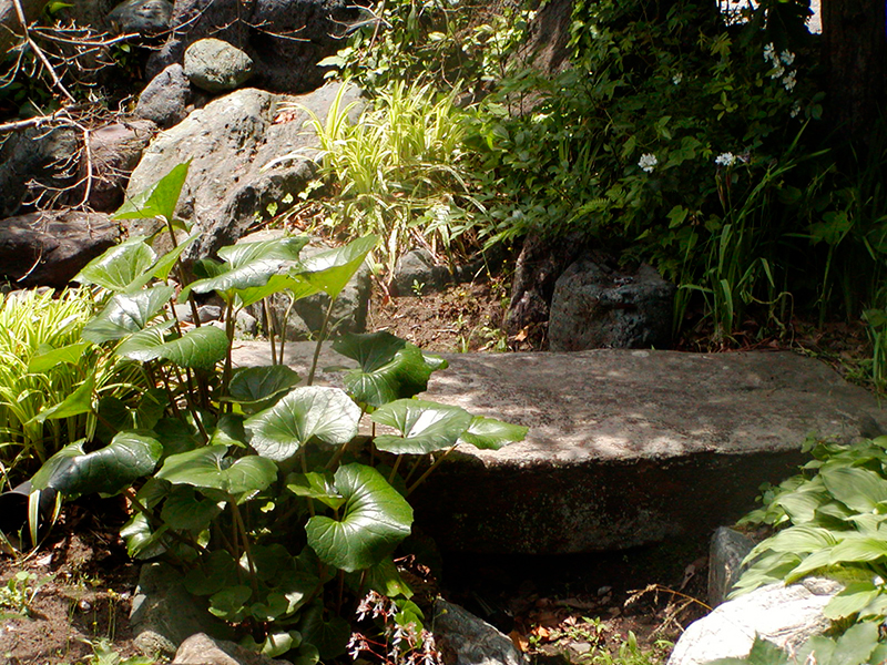 The private garden of Takakazu Nozawa