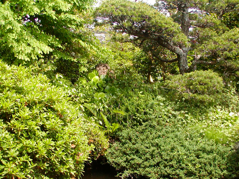 The private garden of Takakazu Nozawa