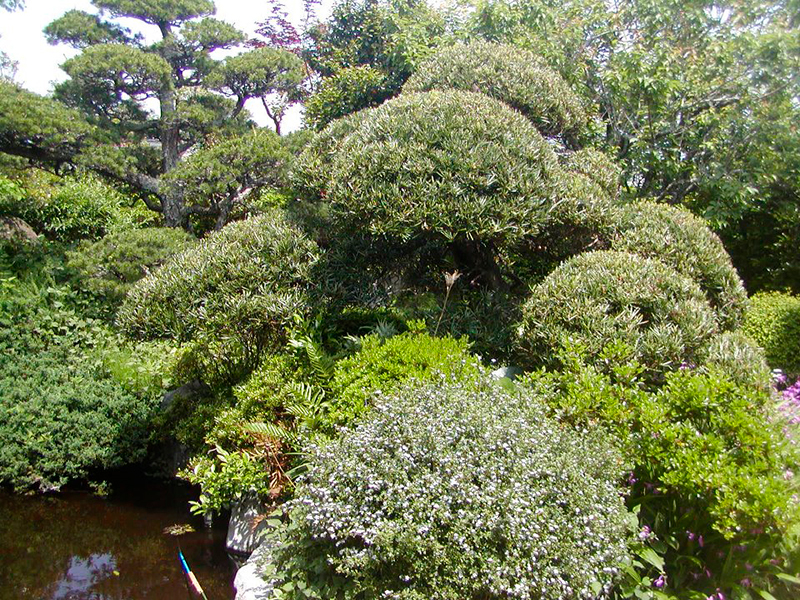 The private garden of Takakazu Nozawa