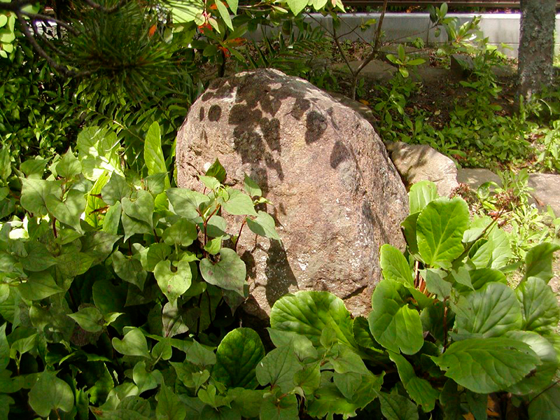 The private garden of Takakazu Nozawa