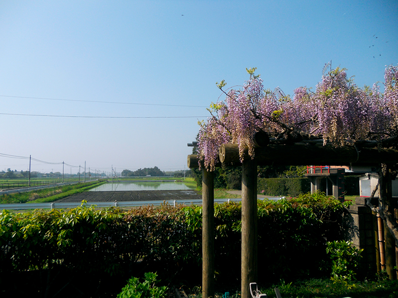 The private garden of Takakazu Nozawa