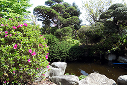 Частный сад Такакацу Нодзава