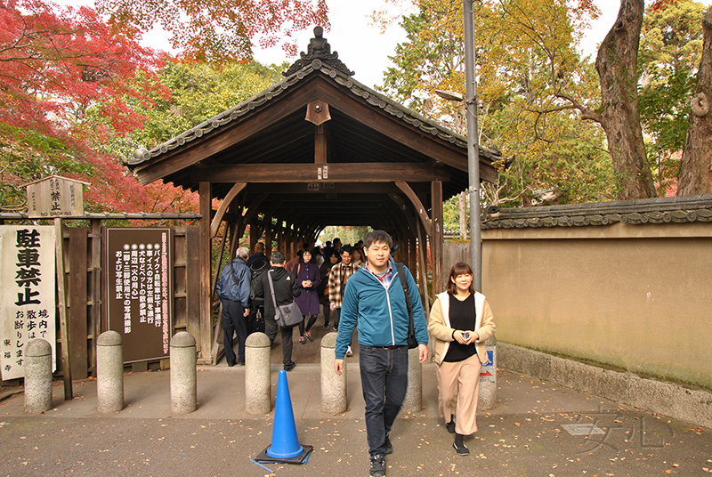 Autumn at Tofuku-ji Temple