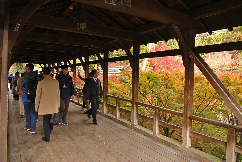 Autumn at Tofuku-ji Temple