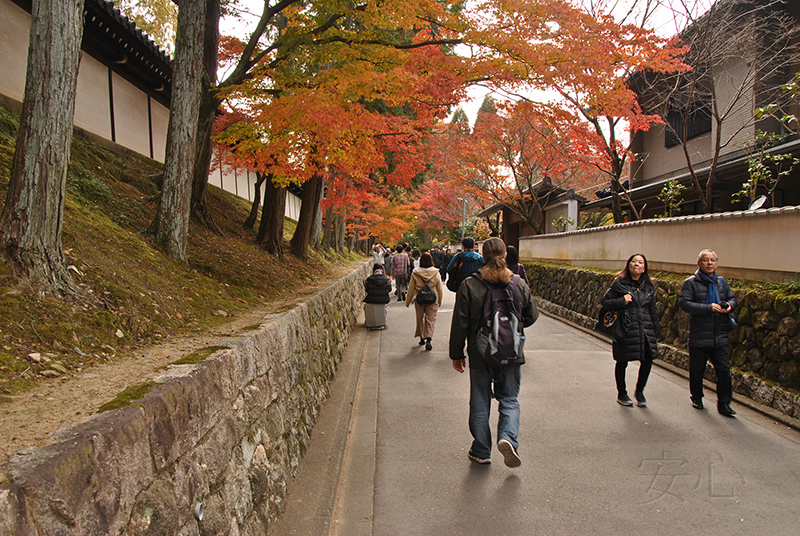 Autumn at Tofuku-ji Temple