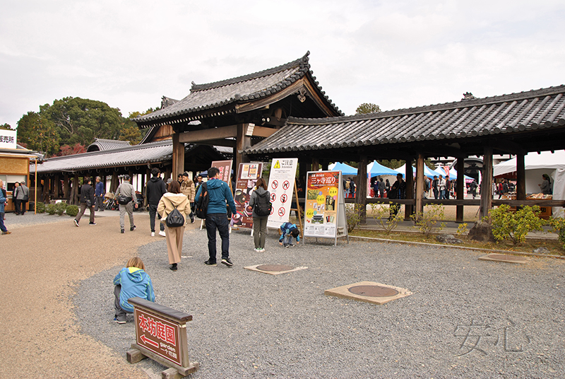 Autumn at Tofuku-ji Temple