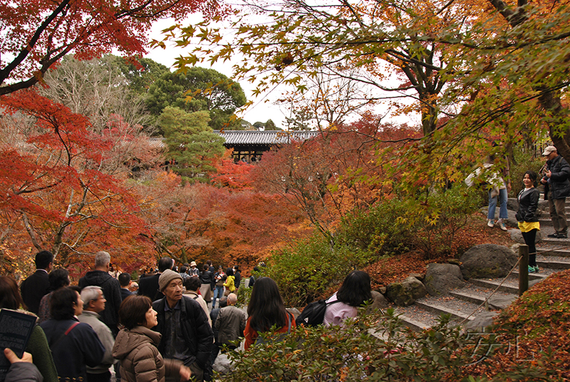 Autumn at Tofuku-ji Temple