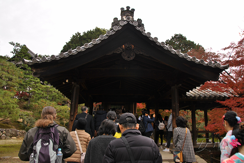 Autumn at Tofuku-ji Temple