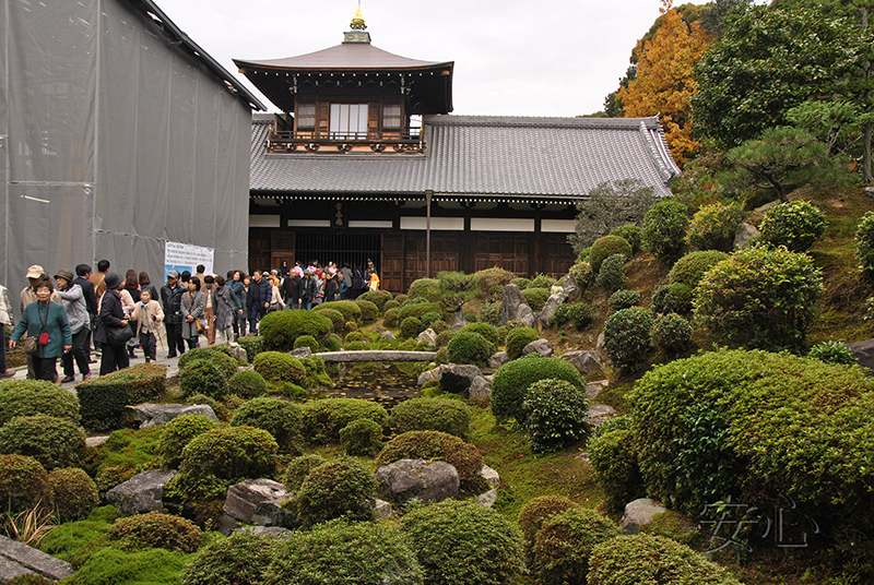 Autumn at Tofuku-ji Temple