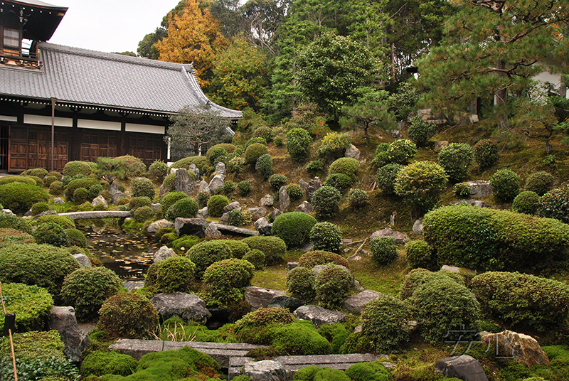 Autumn at Tofuku-ji Temple