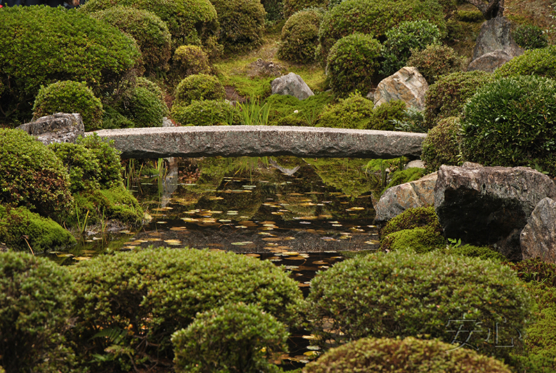 Autumn at Tofuku-ji Temple