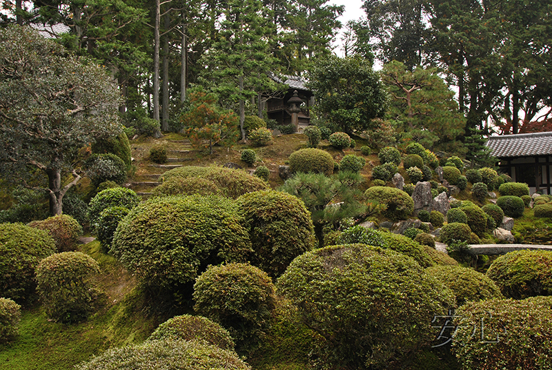 Autumn at Tofuku-ji Temple