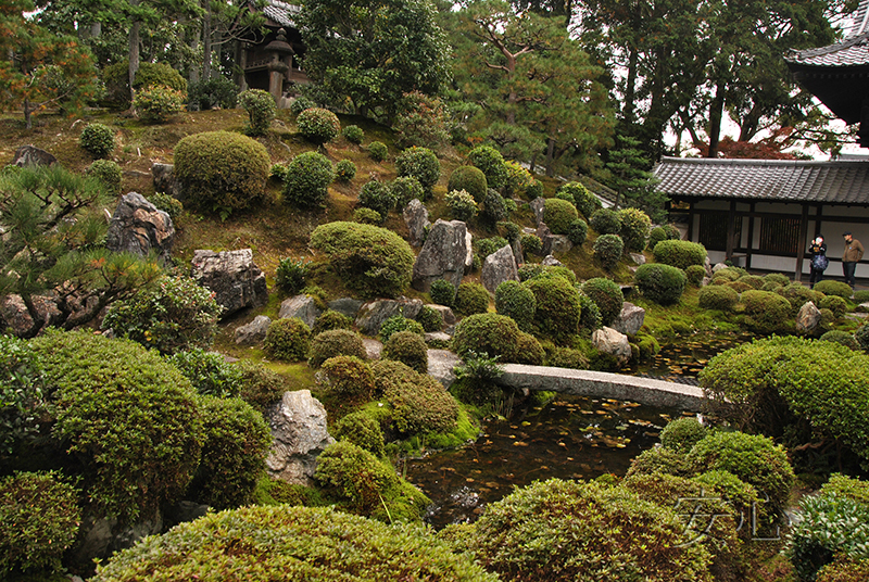 Autumn at Tofuku-ji Temple