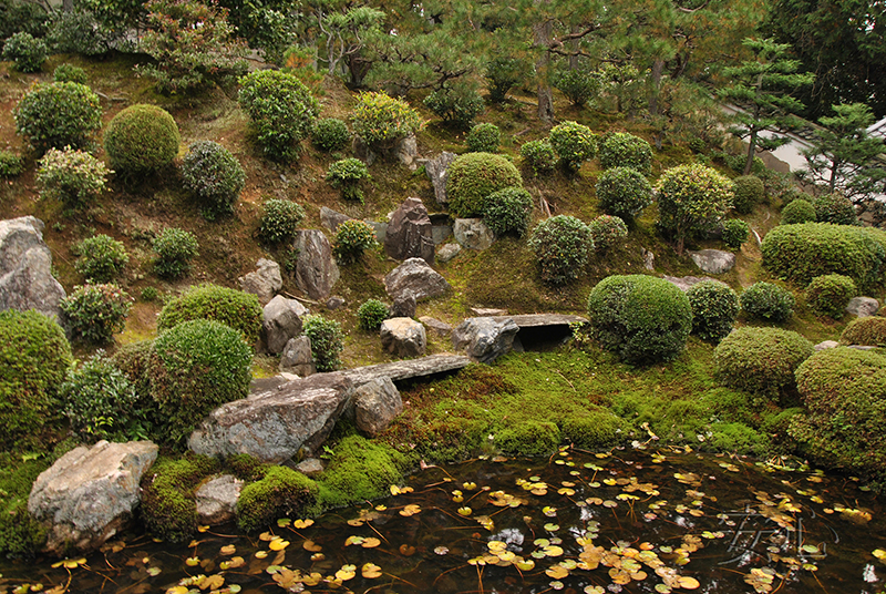 Autumn at Tofuku-ji Temple