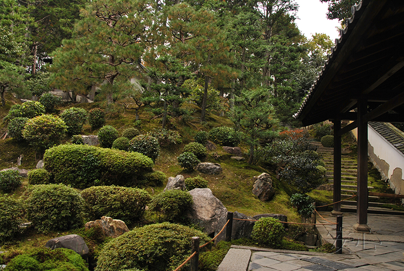 Autumn at Tofuku-ji Temple