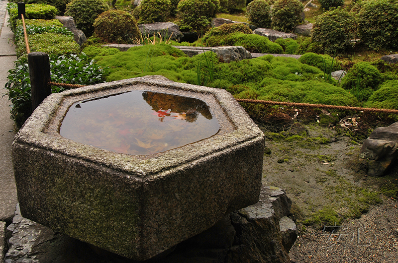 Autumn at Tofuku-ji Temple