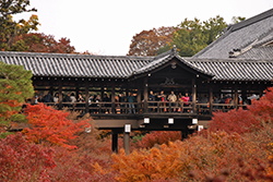Осень в храме Тофуку-дзи