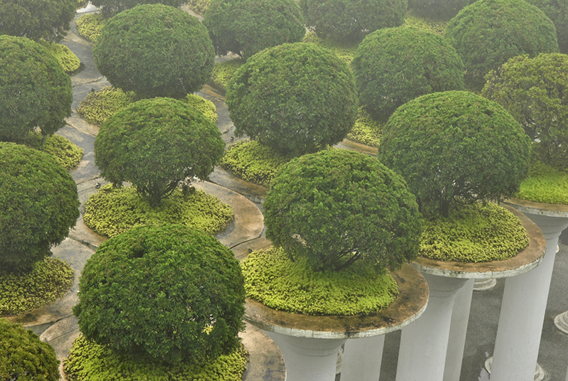 Ba Na Hills