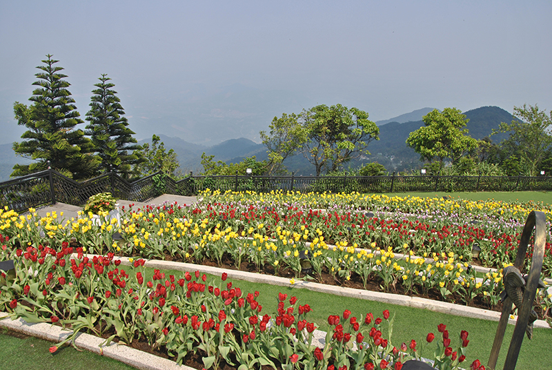 Ba Na Hills