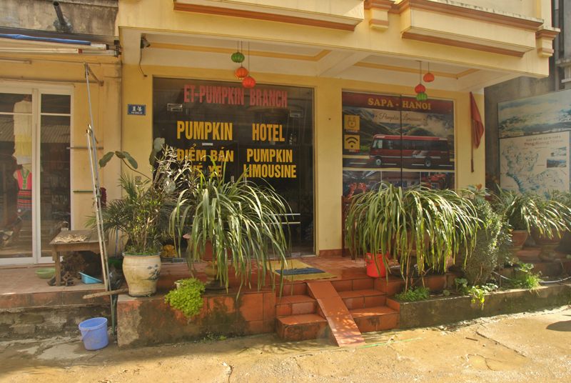 Pumpkin hotel