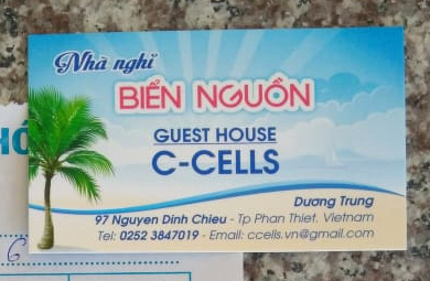 С-cells