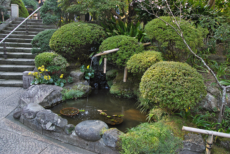 tsukubai in Japanese garden